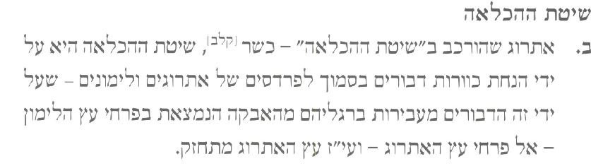 אתרוג מוכלא א.JPG