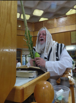 צילום מסך 2025-09-21 135330.png