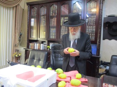 אתרוג מרן הרב טופיק.jpg