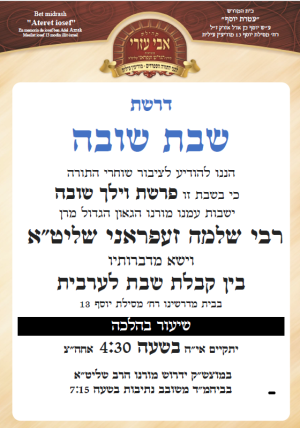 שבת שובה וילך.png