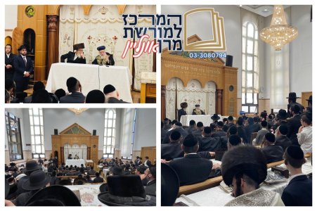 ויזניץ+סוכות+תשפו.jpg