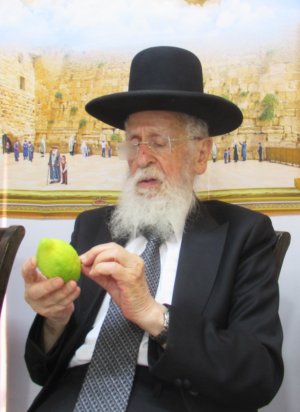 בבדיקת אתרוג.JPG