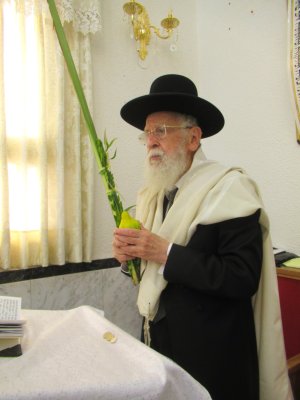 בנטילת ד' מינים.JPG