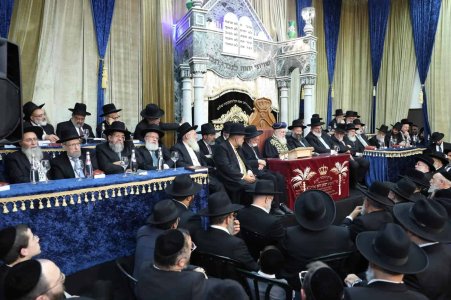 תמונה-של-WhatsApp_-2025-10-12-בשעה-10.33.54_f0e53c8c.jpg