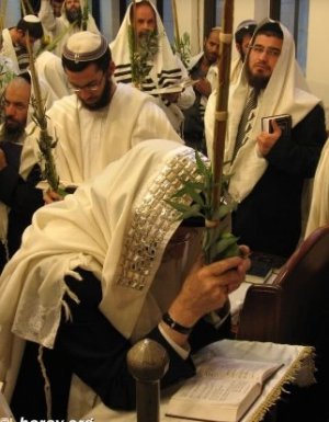 __צילום מסך_15-10-2025_14417_harav.org.jpeg