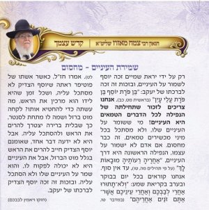 משכן שילה.jpg