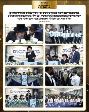 צילום מסך 2026-02-12 140652.jpg