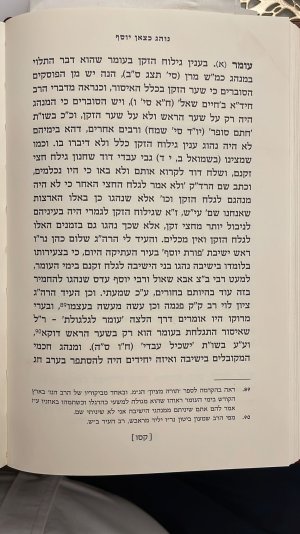 נוהג כצאן יוסף.jpg