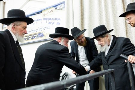 הגר''א ויייס מקבל פני רשכבה''ג.jpg