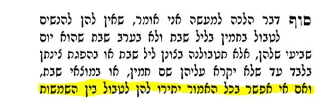 חכם צבי ג.JPG