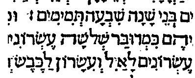 כמדובר- ונציא רפ''ד.JPG