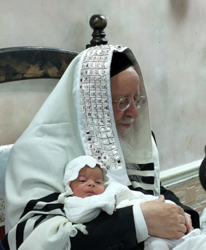 צילום מסך 2025-07-04 150204.png
