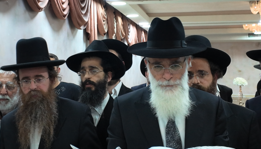 צילום מסך 2025-07-04 152935.png