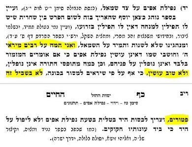 נפילת אפים.JPG