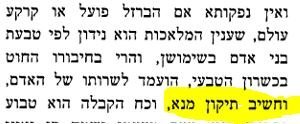 חזו''א ב.JPG