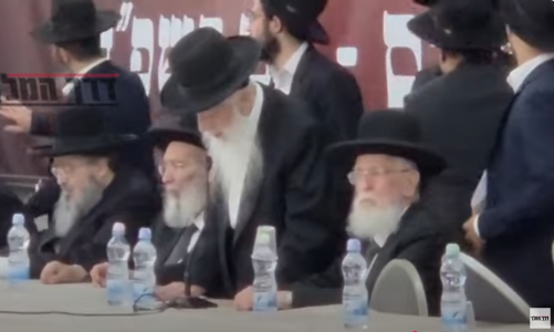 תמונה1 (1).png