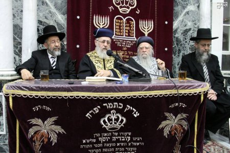 זזזזז.JPG