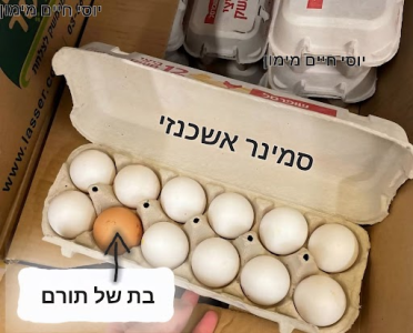 1757193232289.png