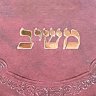 המשיב
