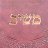 המשיב