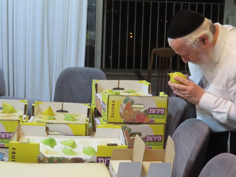 e340534c5ebdd8dbcde3267b66ef113526f52c8a