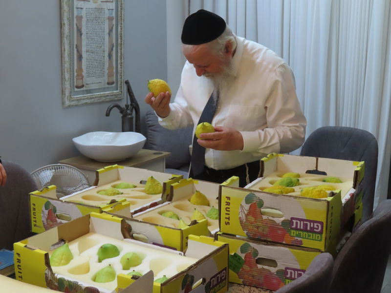 a7caf0b2f365deaa4746e51e3df50b62edd05635