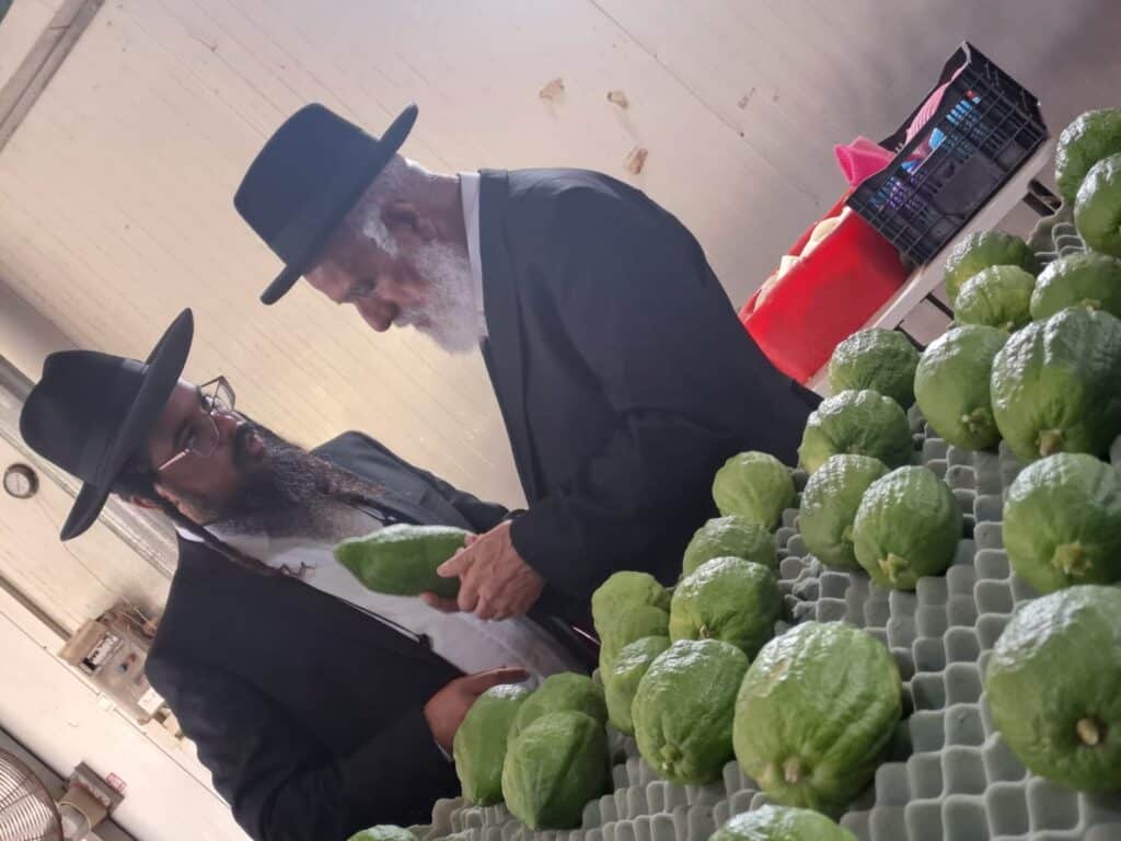 אנשי הסוד נחשפים: סדר היום, נאמני הבית והמשפיעים