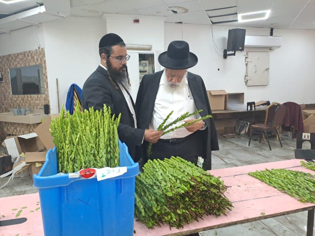 אנשי הסוד נחשפים: סדר היום, נאמני הבית והמשפיעים